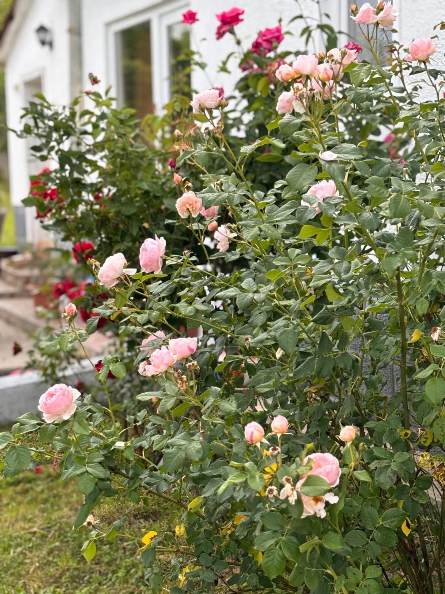Country House Hatagel Εξωτερικό φωτογραφία